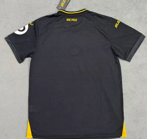 2024-25 Wolves Away Fans