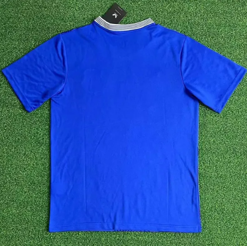 2024-25 Everton Home Fans