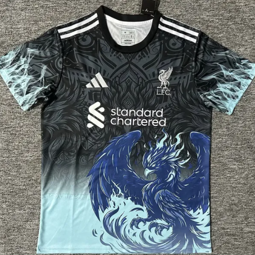24-25 LIV Black Blue Special Training Shirts